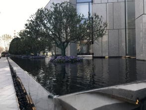 景觀干貨來襲丨水景實(shí)用工藝